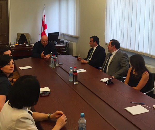 Head of Georgian Royal House meet Chairman of the Parliamentarian Committee for the Diaspora and Caucasus Issues in the Parliament of Georgia(2)